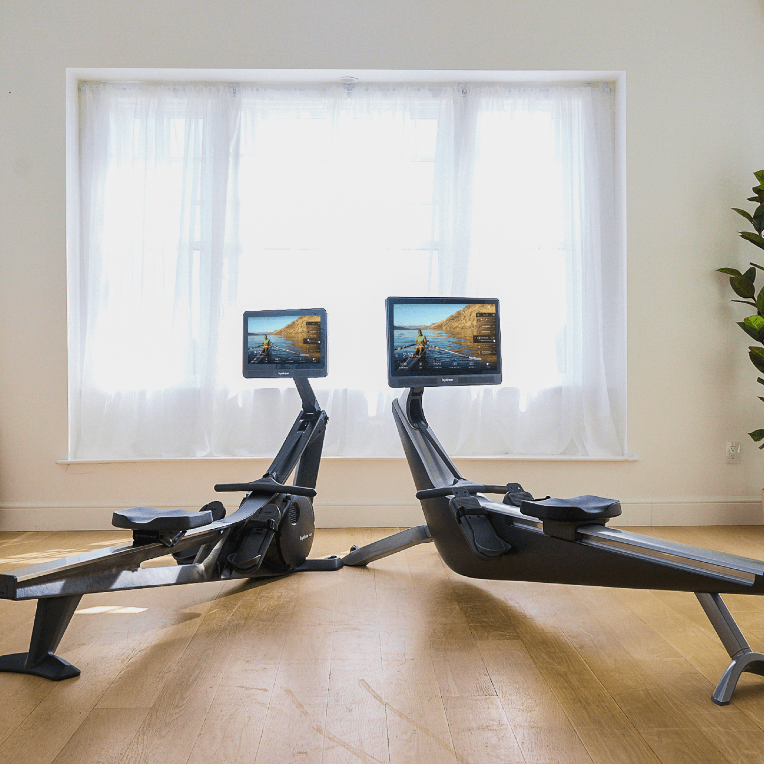 Two Rowers