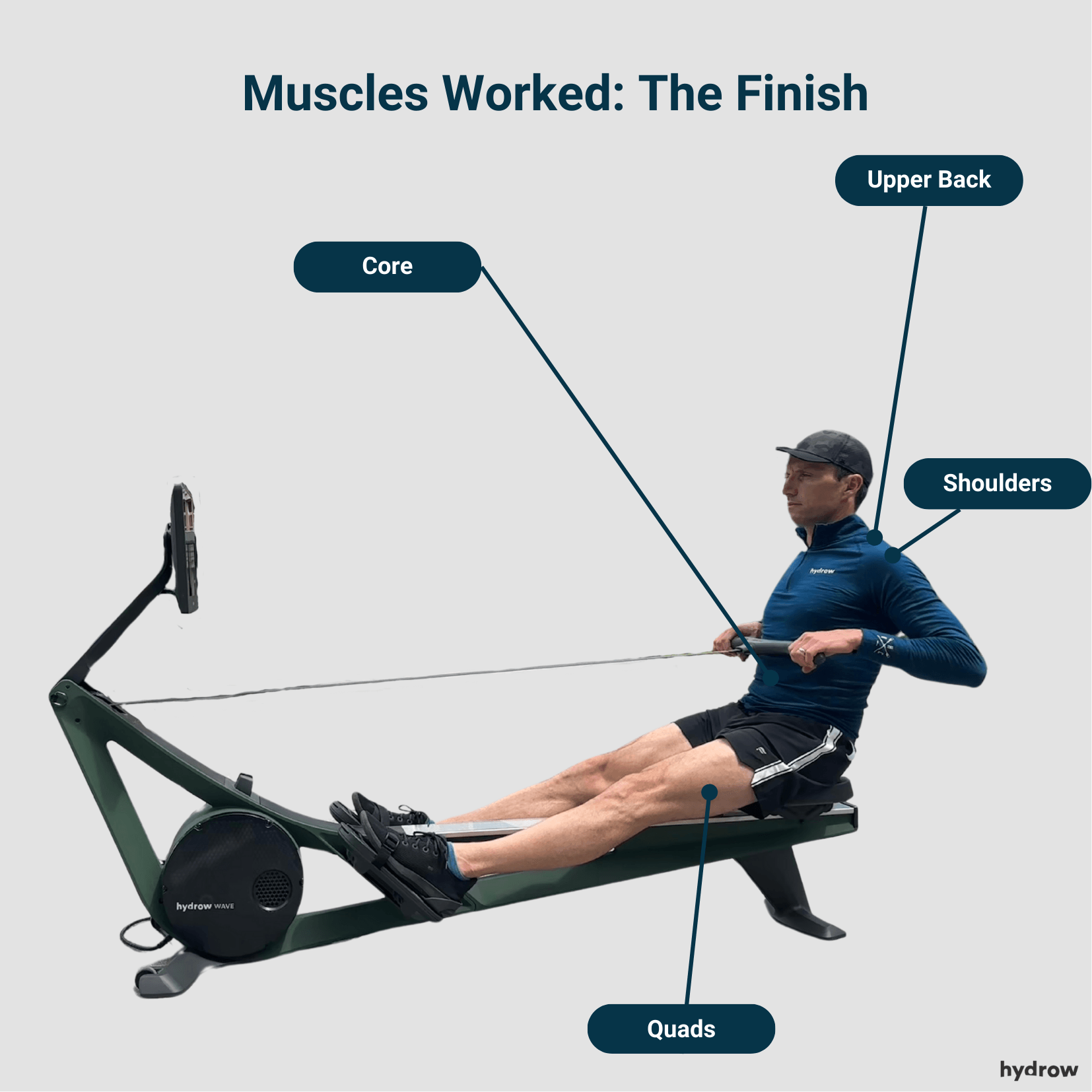 What Muscles Does a Rowing Machine Work? Full-Body Benefits Explained ...